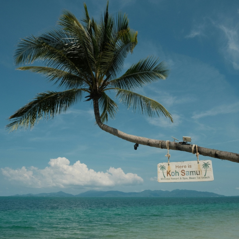 marius-kriz-DH5eyHWPT50-unsplash