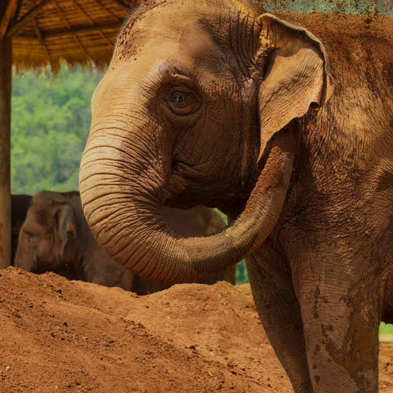 mathew-krizmanich-vo2bFbso868-unsplash