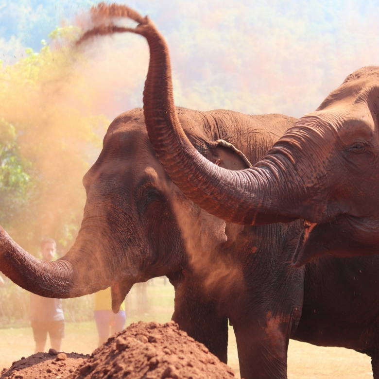 rock-vincent-guitard-tYbQx69vDwY-unsplash